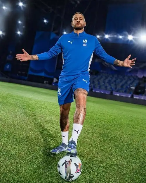 了强大的 了强大的