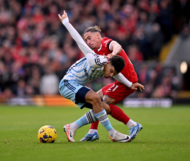 与其对新星 与其对新星