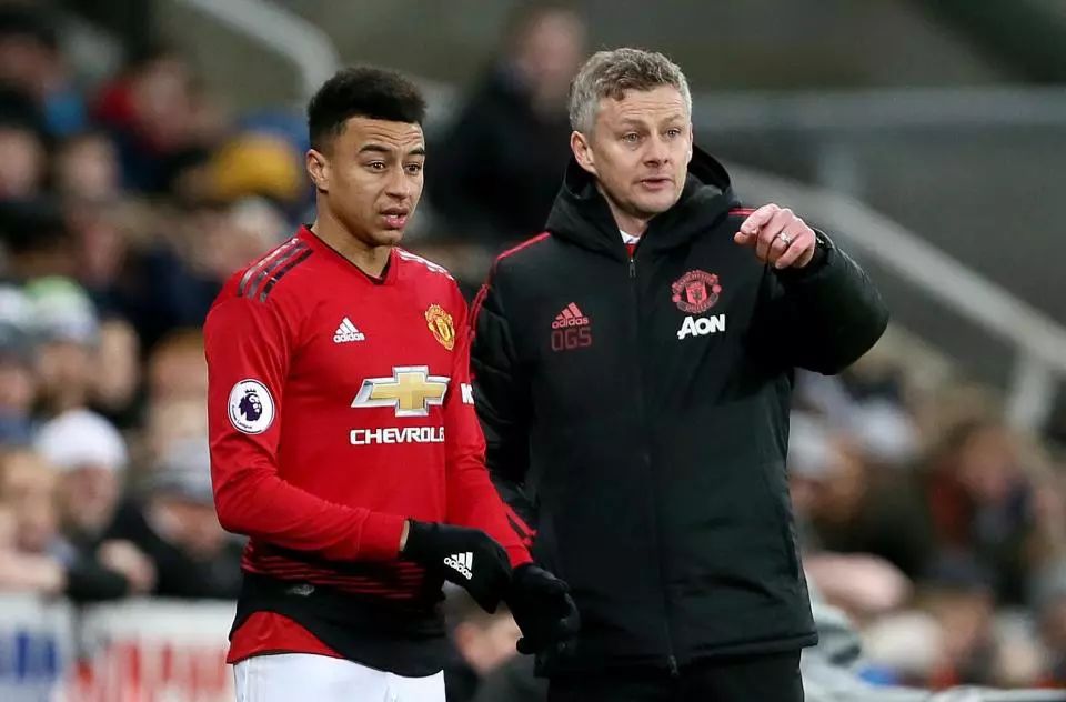 分析对手的 分析对手的